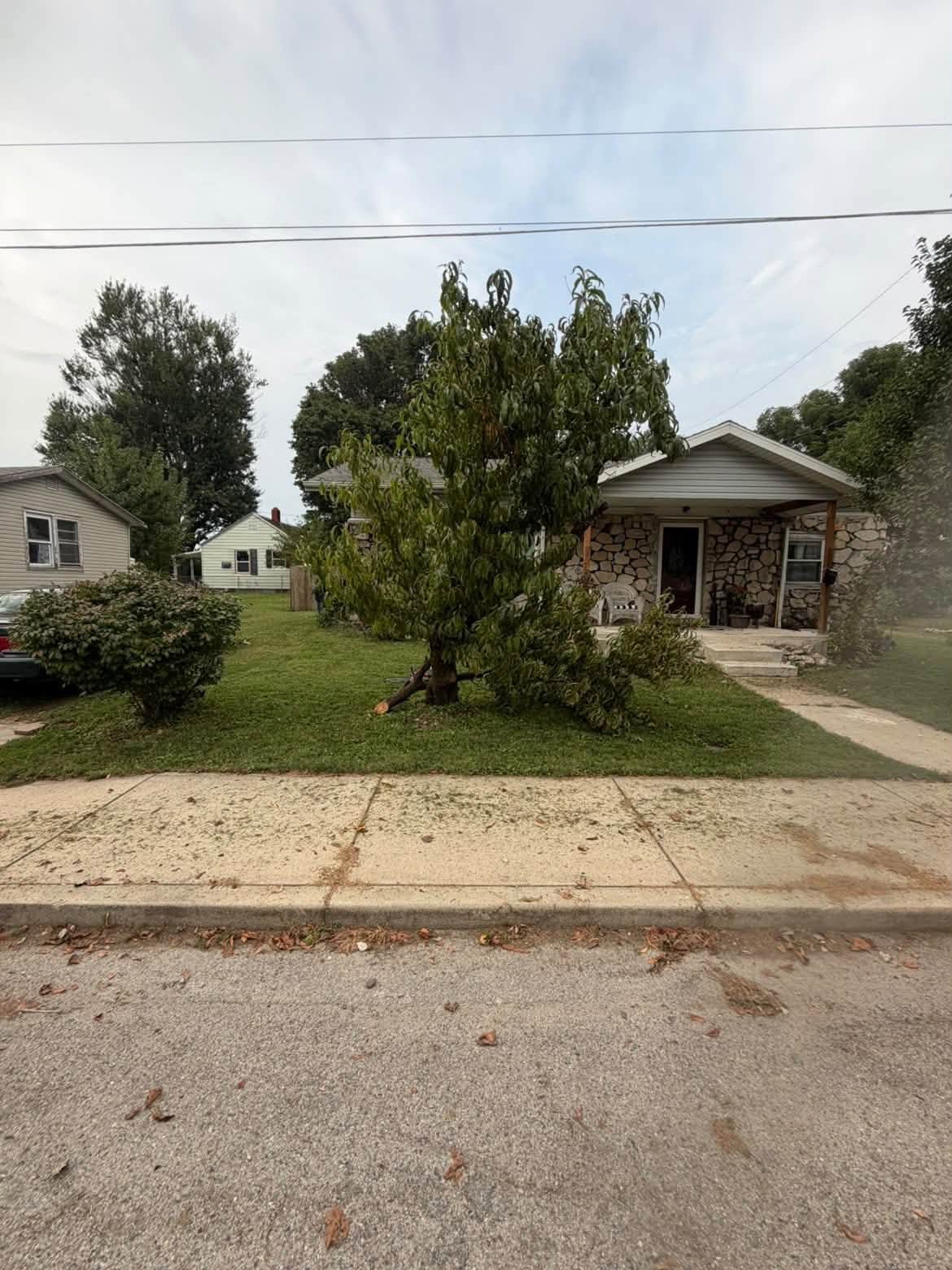 Before yard clearing in Frankfort