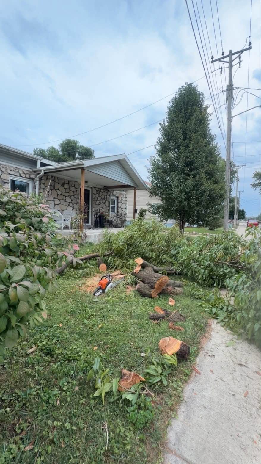 Storm debris cleaned up and hauled off